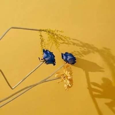 365体育官方唯一入口app下载